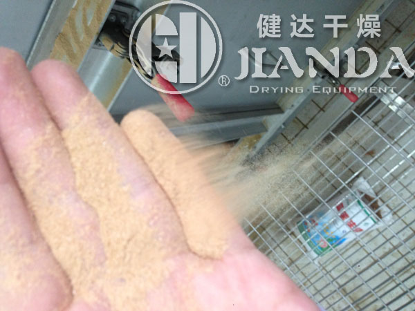 雙滾筒刮板干燥機(jī)